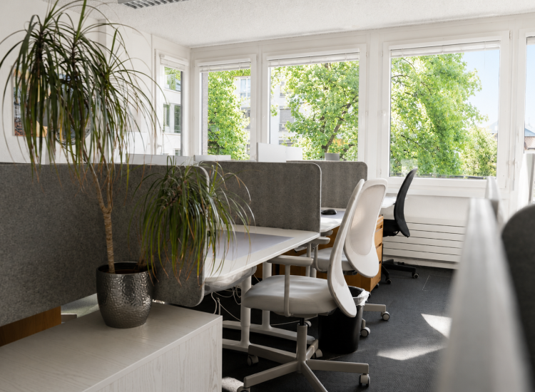 Fokus Work_Büro 2