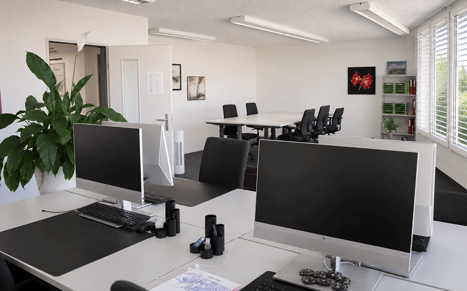 flexdesk